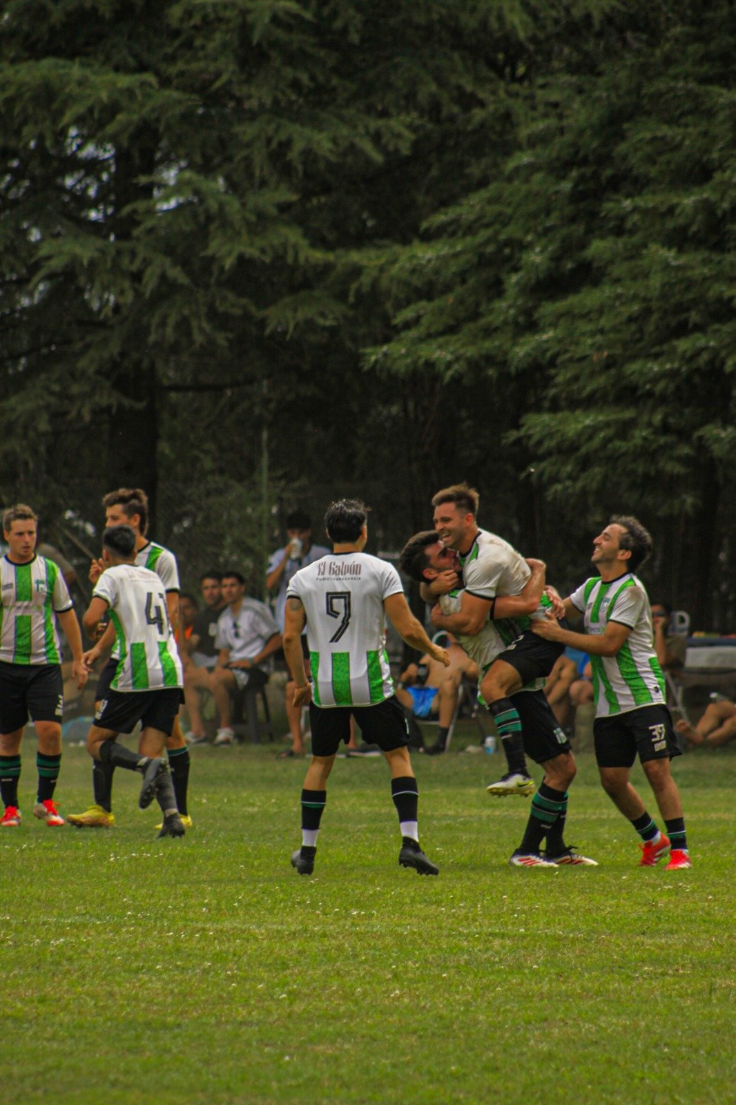 Verde, un color de primera