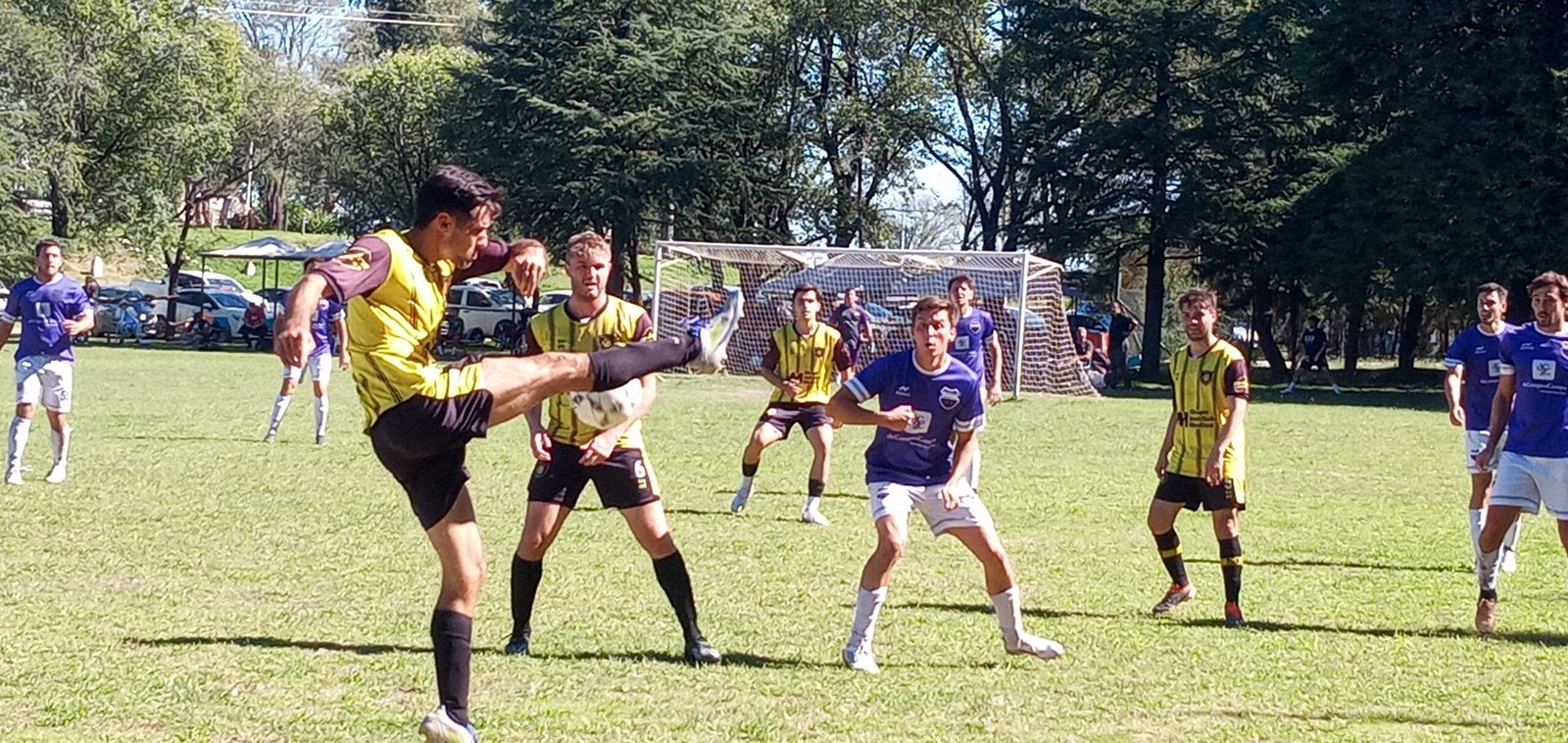 Empiezan a dar los números